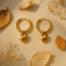 Load image into Gallery viewer, Earrings for Girls and Women Earring