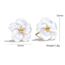 Load image into Gallery viewer, Earrings for Girls and Women Earring