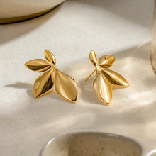 Load image into Gallery viewer, Earrings for Girls and Women Earring