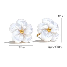 Load image into Gallery viewer, Earrings for Girls and Women Earring
