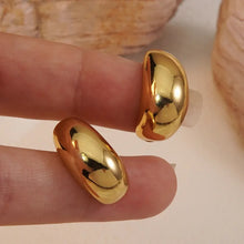 Load image into Gallery viewer, Earrings for Girls and Women Earring
