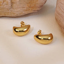 Load image into Gallery viewer, Earrings for Girls and Women Earring
