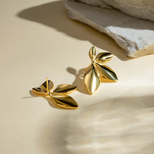 Load image into Gallery viewer, Earrings for Girls and Women Earring
