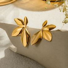 Load image into Gallery viewer, Earrings for Girls and Women Earring
