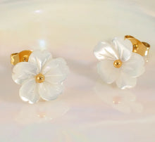 Load image into Gallery viewer, Earrings for Girls and Women Earring
